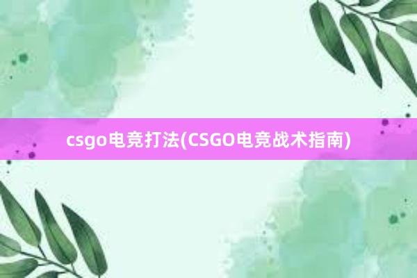 csgo电竞打法(CSGO电竞战术指南)