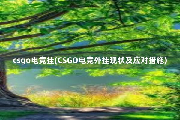 csgo电竞挂(CSGO电竞外挂现状及应对措施)