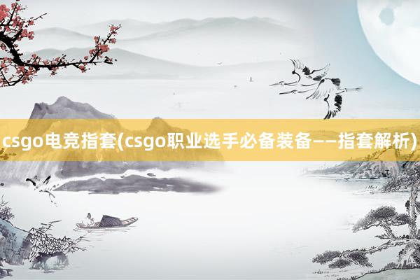 csgo电竞指套(csgo职业选手必备装备——指套解析)