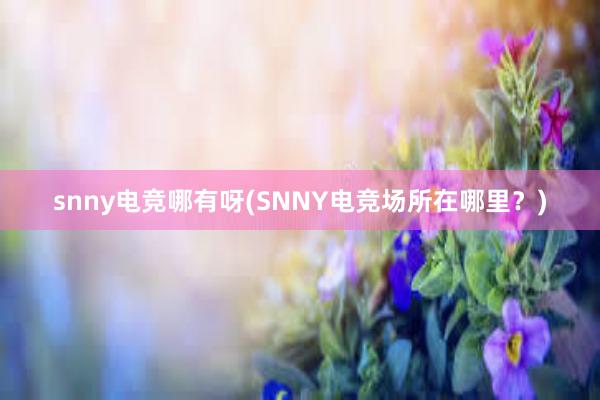 snny电竞哪有呀(SNNY电竞场所在哪里？)