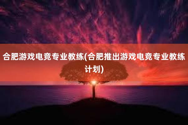 合肥游戏电竞专业教练(合肥推出游戏电竞专业教练计划)