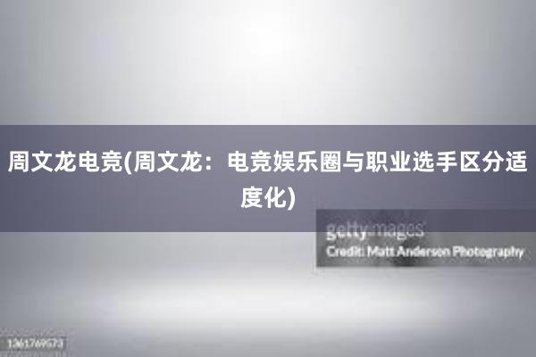 周文龙电竞(周文龙：电竞娱乐圈与职业选手区分适度化)