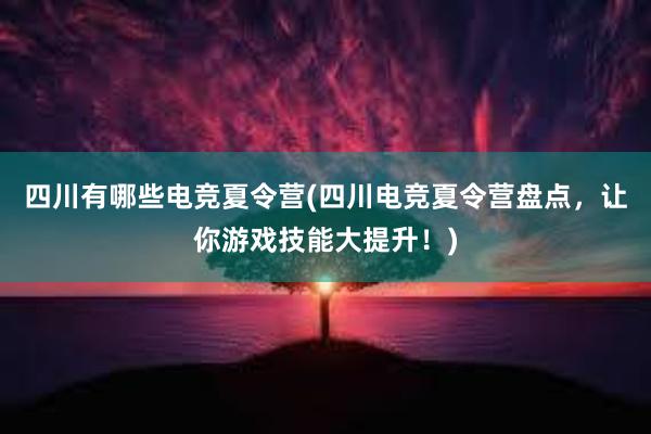 四川有哪些电竞夏令营(四川电竞夏令营盘点，让你游戏技能大提升！)