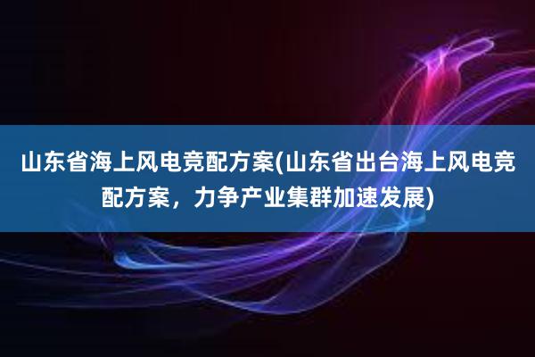 山东省海上风电竞配方案(山东省出台海上风电竞配方案，力争产业集群加速发展)