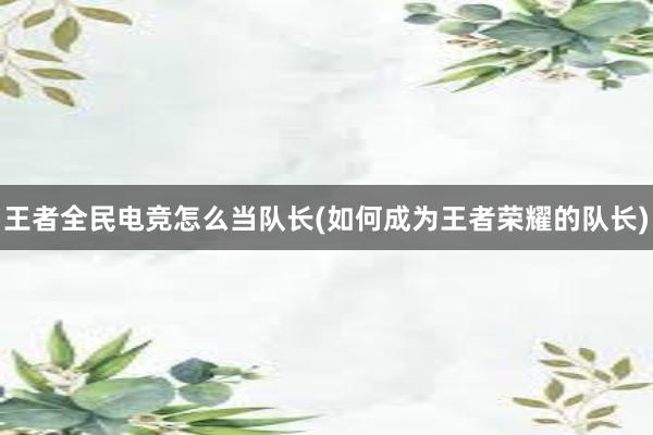 王者全民电竞怎么当队长(如何成为王者荣耀的队长)