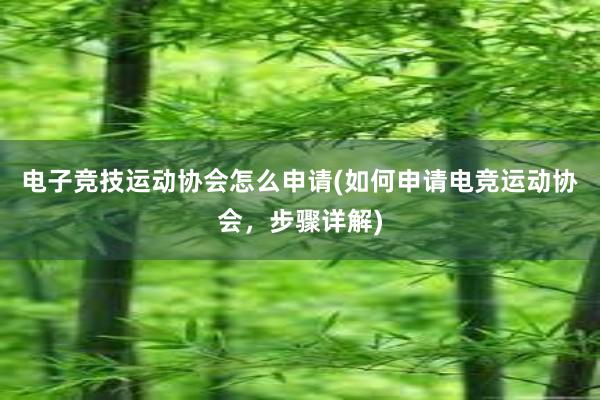 电子竞技运动协会怎么申请(如何申请电竞运动协会，步骤详解)