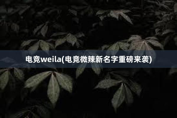 电竞weila(电竞微辣新名字重磅来袭)