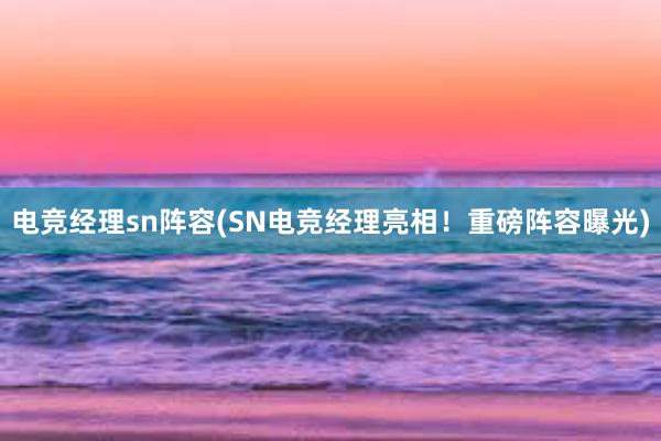 电竞经理sn阵容(SN电竞经理亮相！重磅阵容曝光)