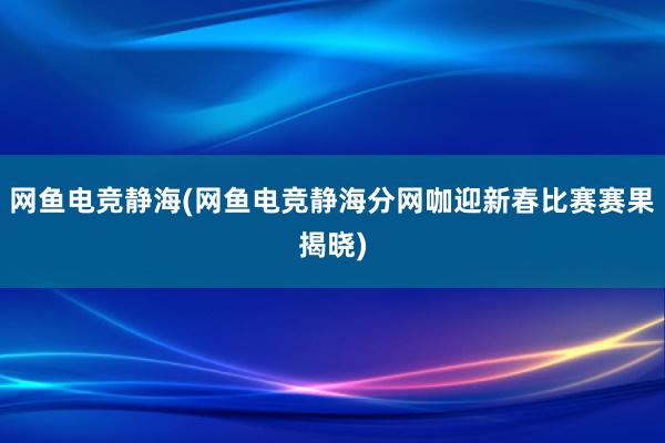 网鱼电竞静海(网鱼电竞静海分网咖迎新春比赛赛果揭晓)