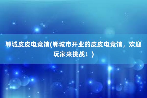 郸城皮皮电竞馆(郸城市开业的皮皮电竞馆，欢迎玩家来挑战！)