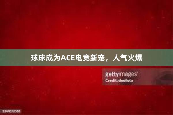 球球成为ACE电竞新宠，人气火爆