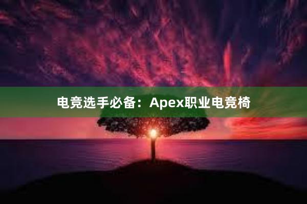 电竞选手必备：Apex职业电竞椅