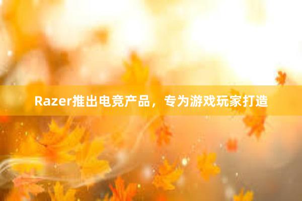 Razer推出电竞产品，专为游戏玩家打造