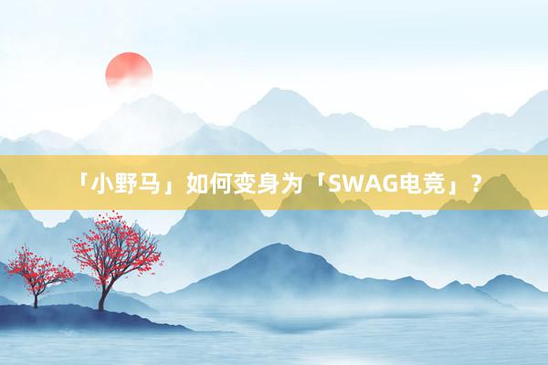 「小野马」如何变身为「SWAG电竞」？