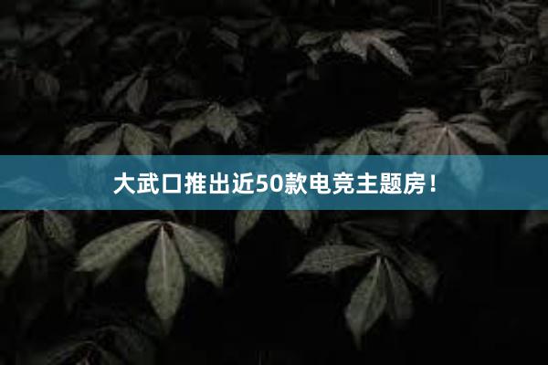 大武口推出近50款电竞主题房！