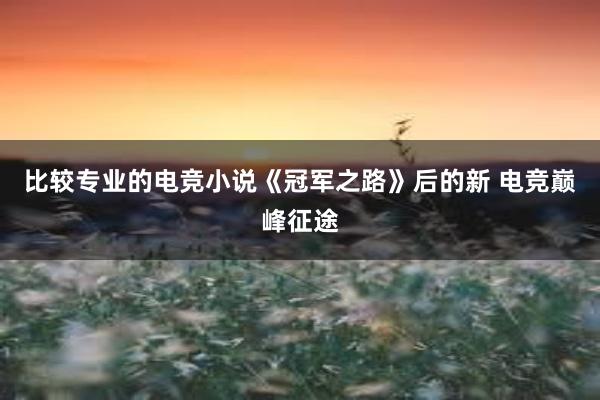 比较专业的电竞小说《冠军之路》后的新 电竞巅峰征途