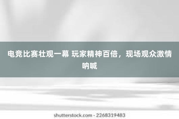 电竞比赛壮观一幕 玩家精神百倍，现场观众激情呐喊