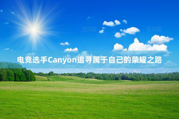 电竞选手Canyon追寻属于自己的荣耀之路