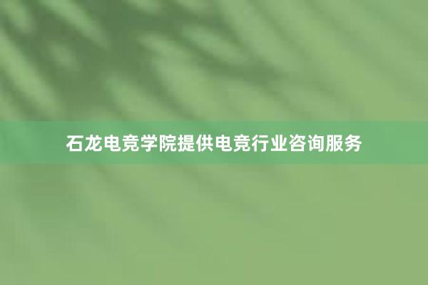 石龙电竞学院提供电竞行业咨询服务