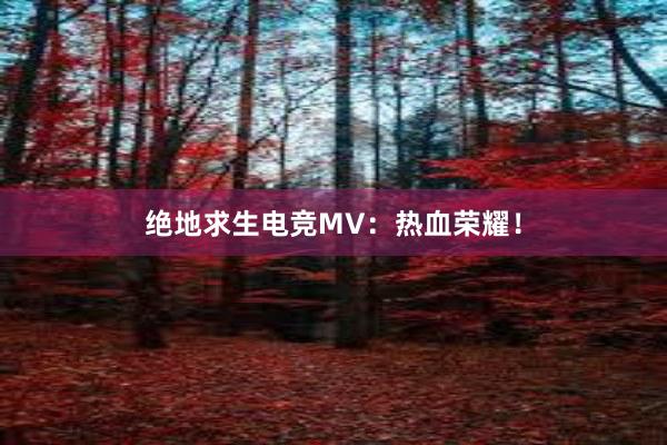 绝地求生电竞MV：热血荣耀！