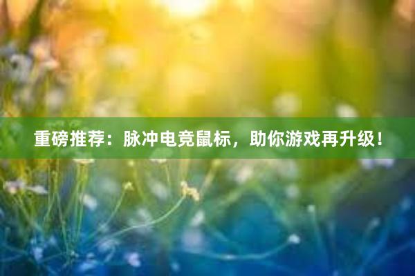 重磅推荐：脉冲电竞鼠标，助你游戏再升级！