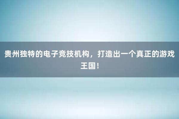 贵州独特的电子竞技机构，打造出一个真正的游戏王国！